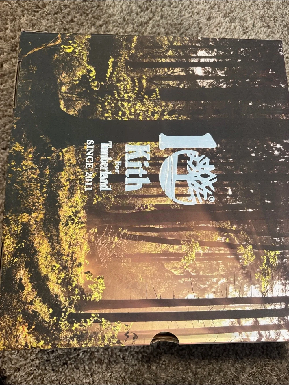Kith Forest Graphic Box - Brown, Gold